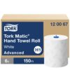 120067 H1 tork matic biały z szarym liściem